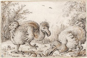 The Democratic Dodo Beginning of the End inset